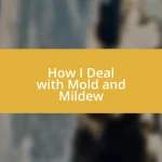 How I Deal with Mold and Mildew