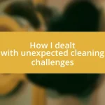 How I dealt with unexpected cleaning challenges