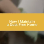 How I Maintain a Dust-Free Home