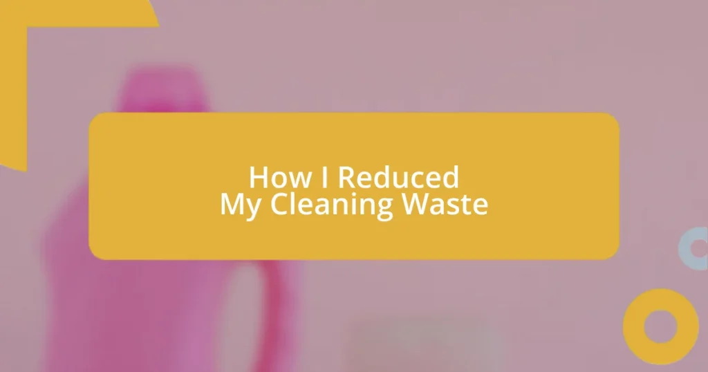 How I Reduced My Cleaning Waste