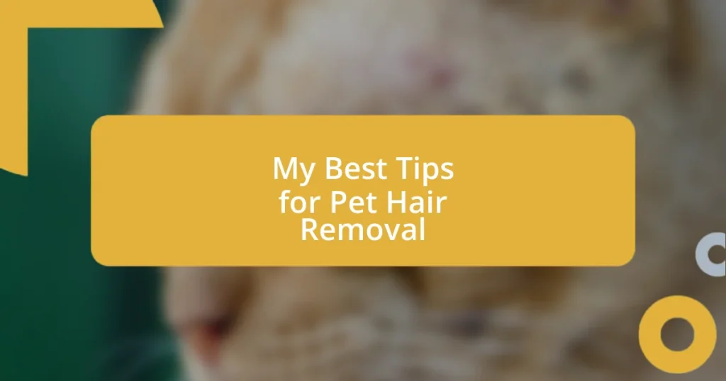 My Best Tips for Pet Hair Removal