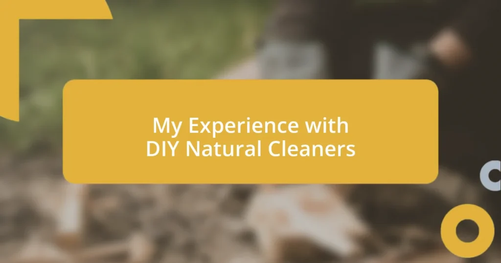 My Experience with DIY Natural Cleaners