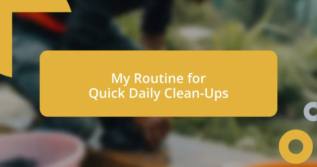 My Routine for Quick Daily Clean-Ups