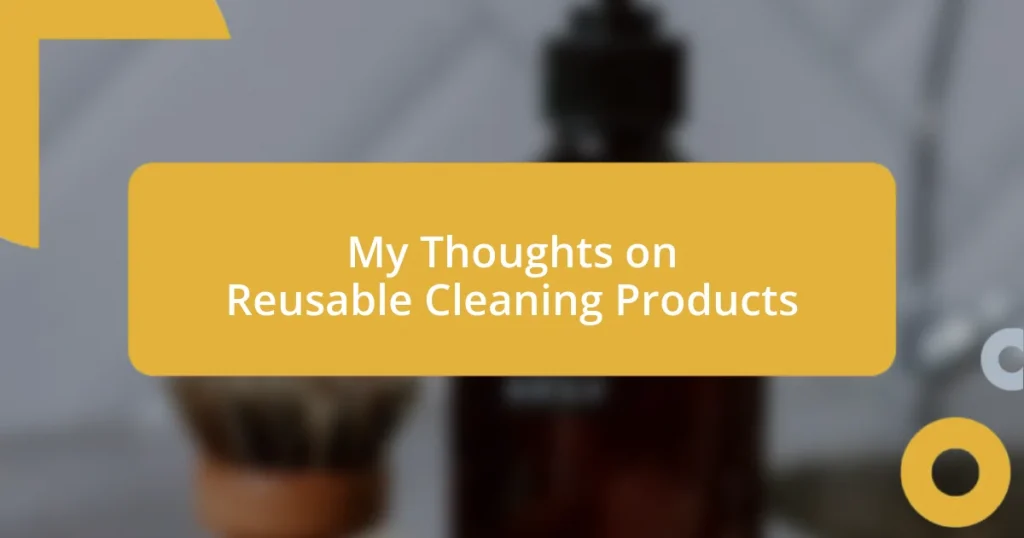 My Thoughts on Reusable Cleaning Products