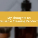 My Thoughts on Reusable Cleaning Products