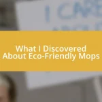 What I Discovered About Eco-Friendly Mops