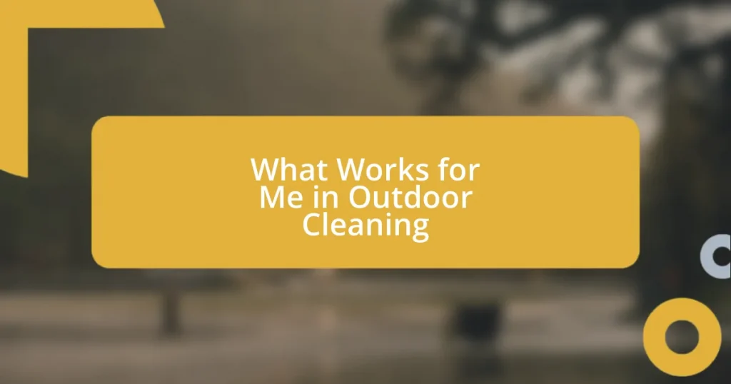 What Works for Me in Outdoor Cleaning